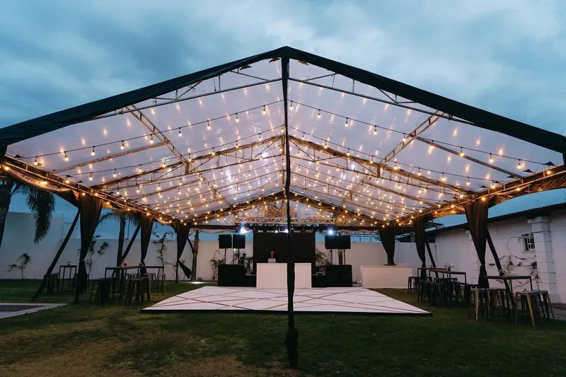 Carpa iluminada en el jardín